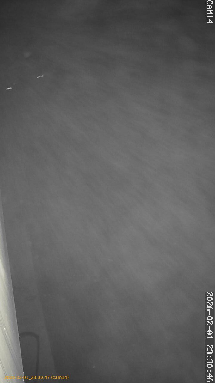 thumbnail_20260201233047