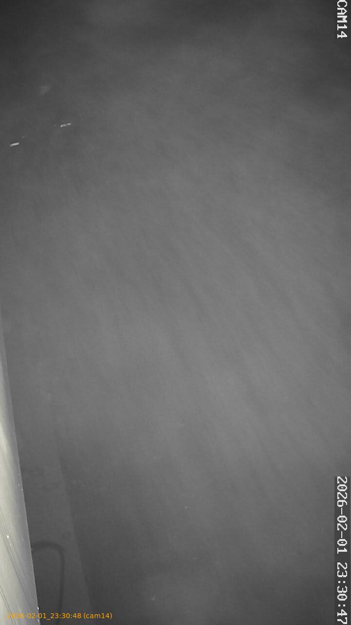 thumbnail_20260201233048