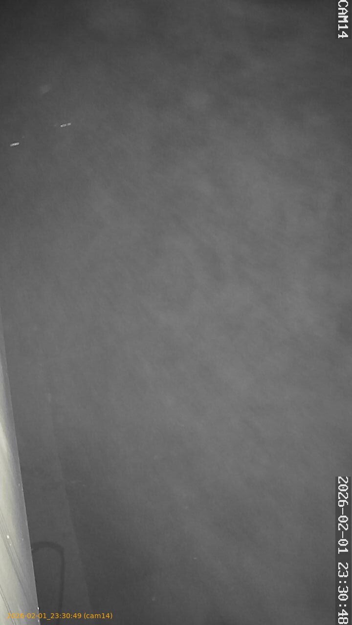 thumbnail_20260201233049