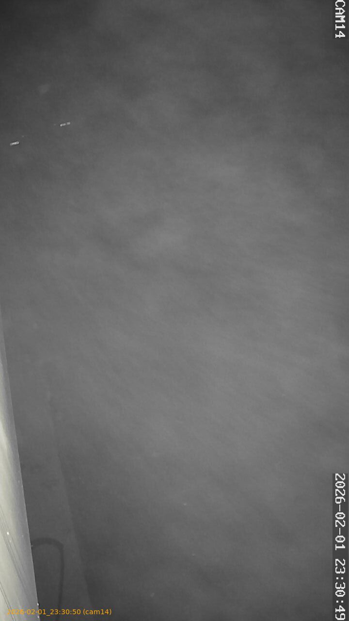 thumbnail_20260201233050