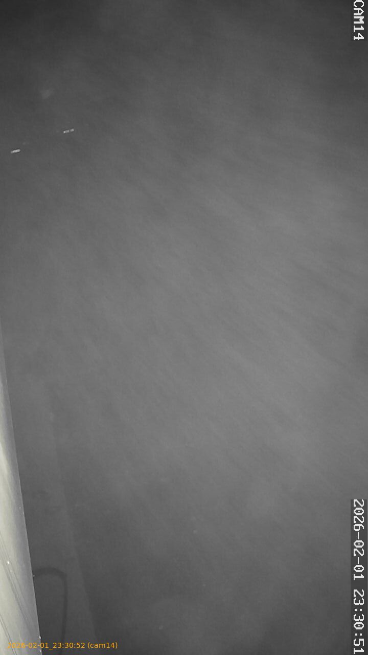 thumbnail_20260201233052