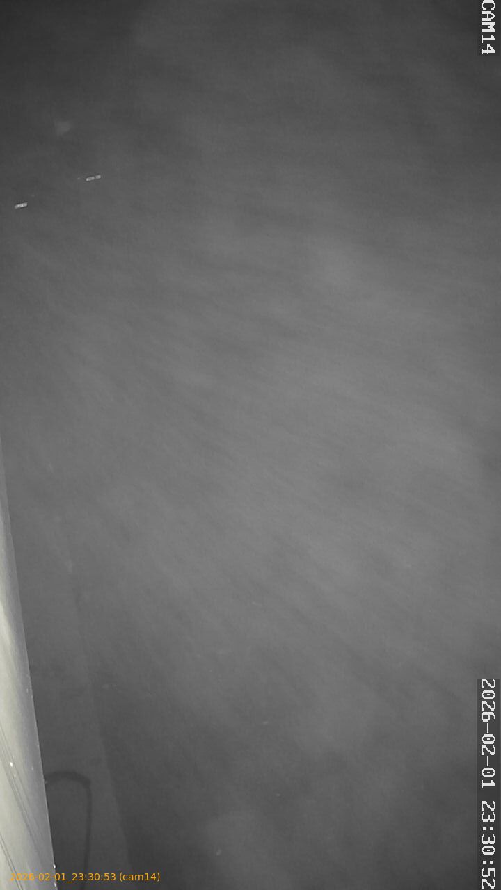 thumbnail_20260201233053