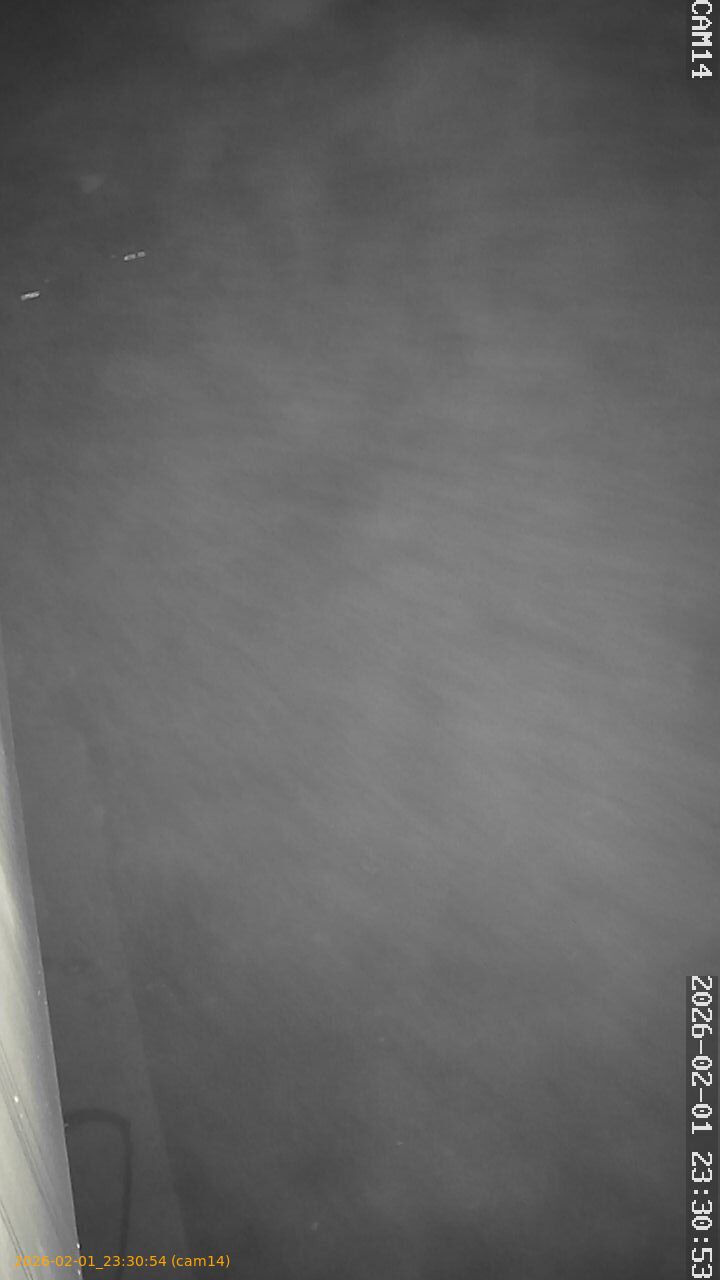 thumbnail_20260201233054