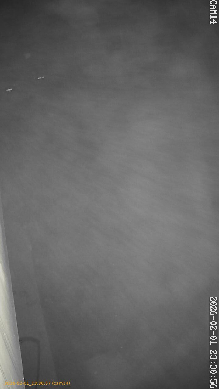 thumbnail_20260201233057