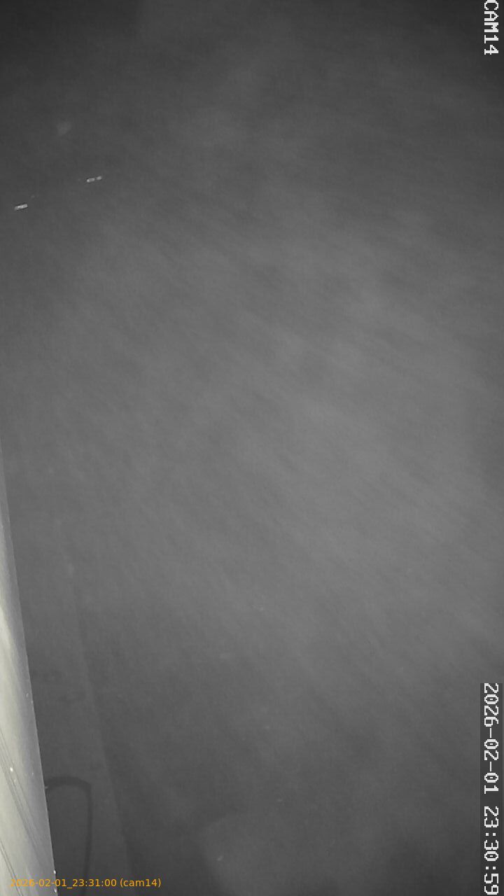 thumbnail_20260201233100