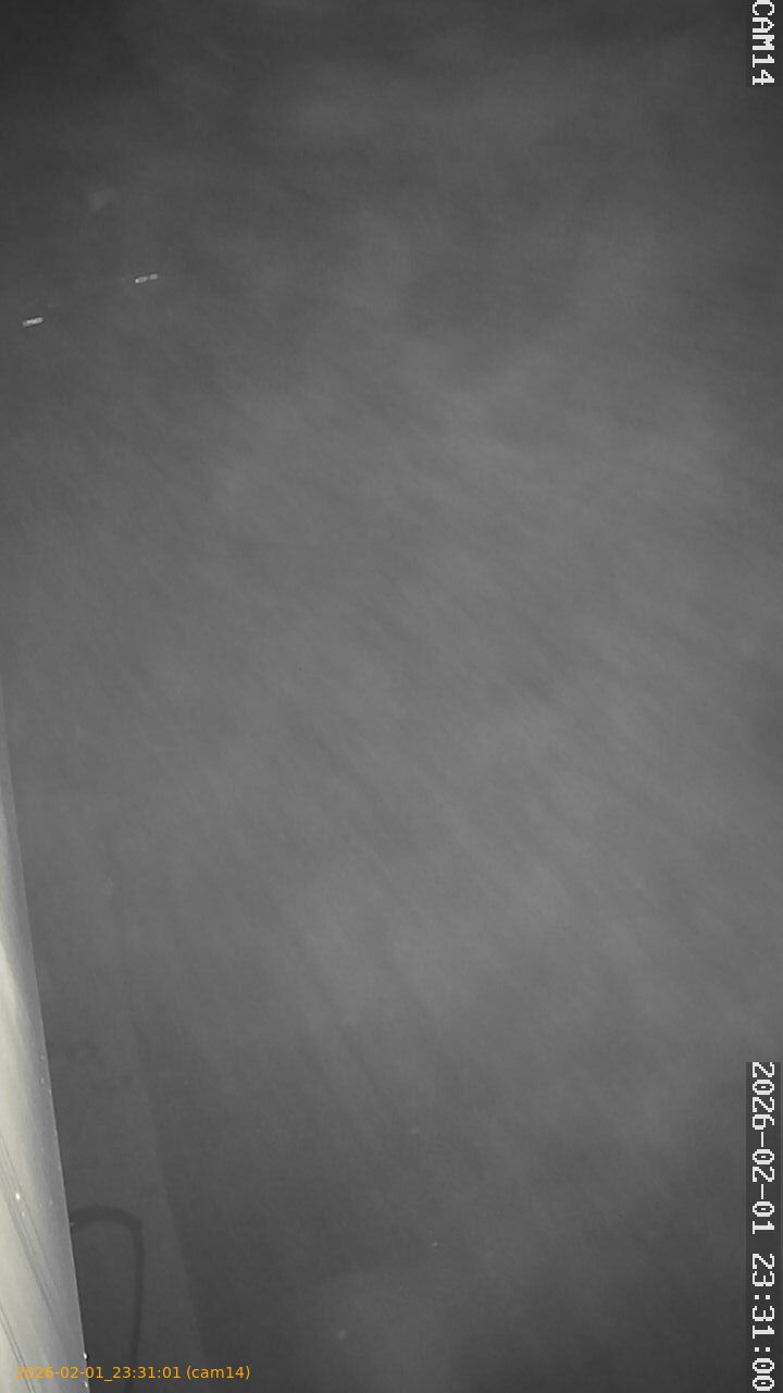 thumbnail_20260201233101