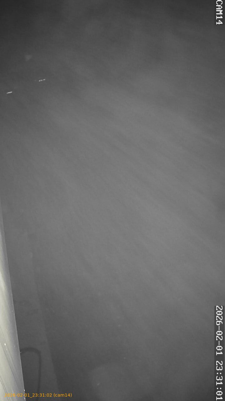 thumbnail_20260201233102