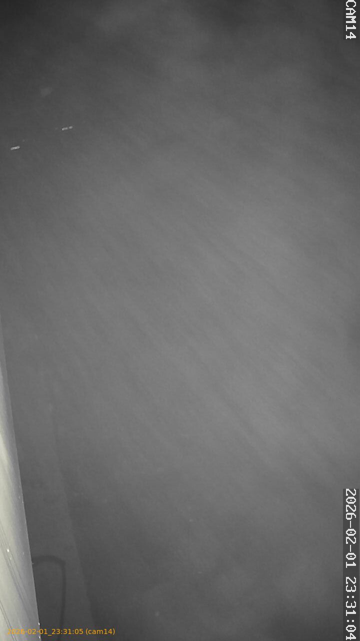 thumbnail_20260201233105