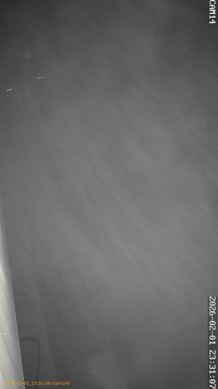 thumbnail_20260201233108