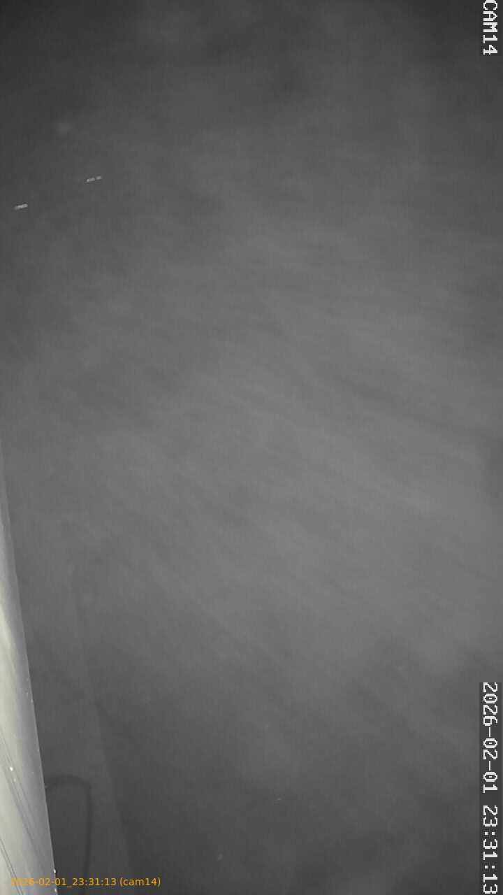 thumbnail_20260201233113