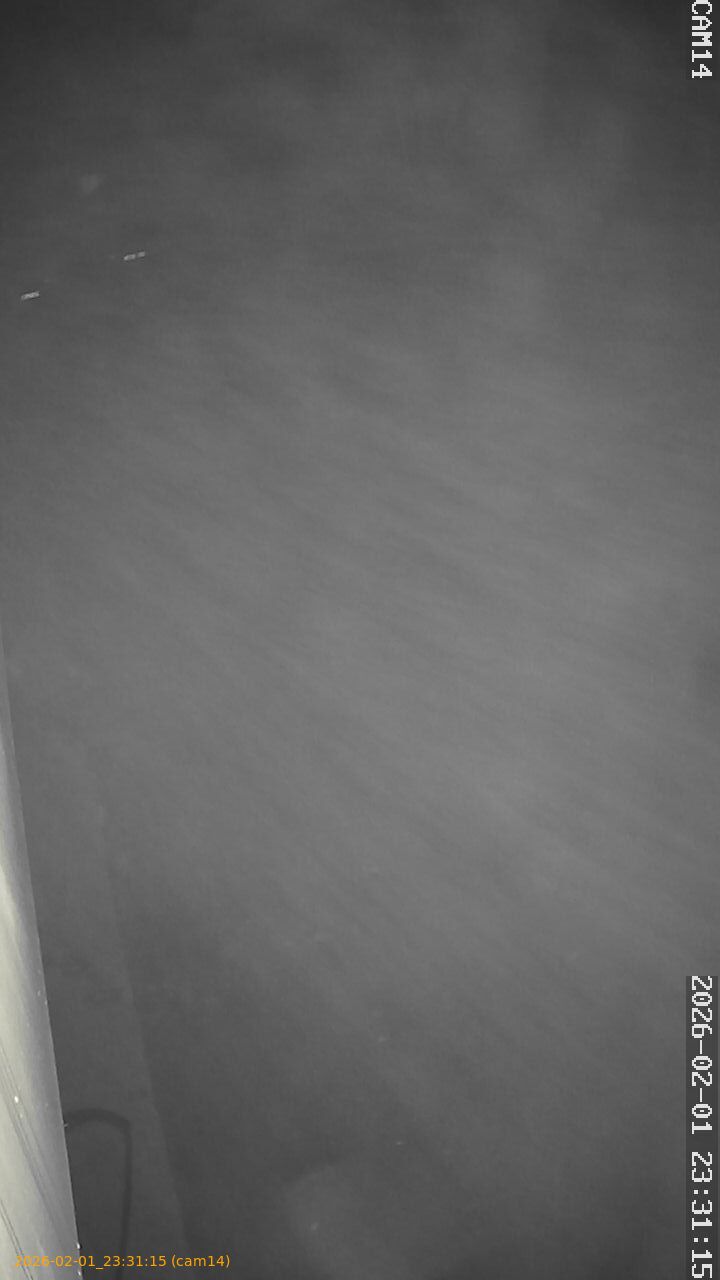 thumbnail_20260201233115