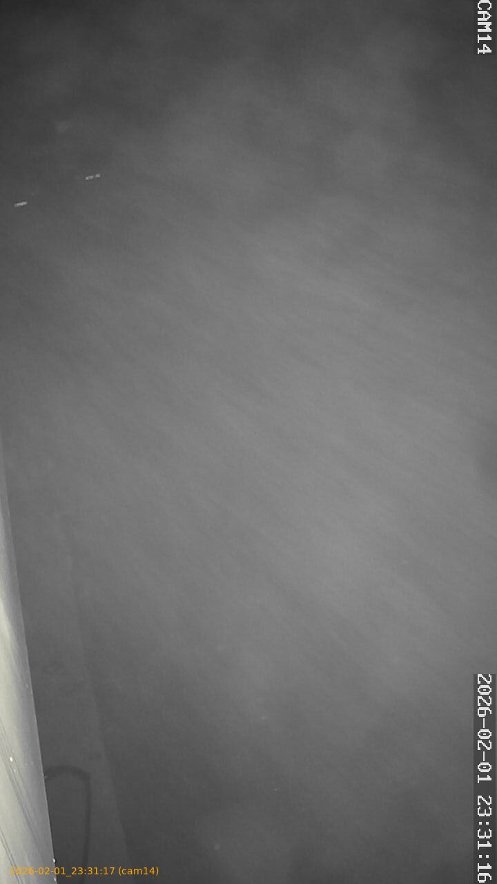 thumbnail_20260201233117