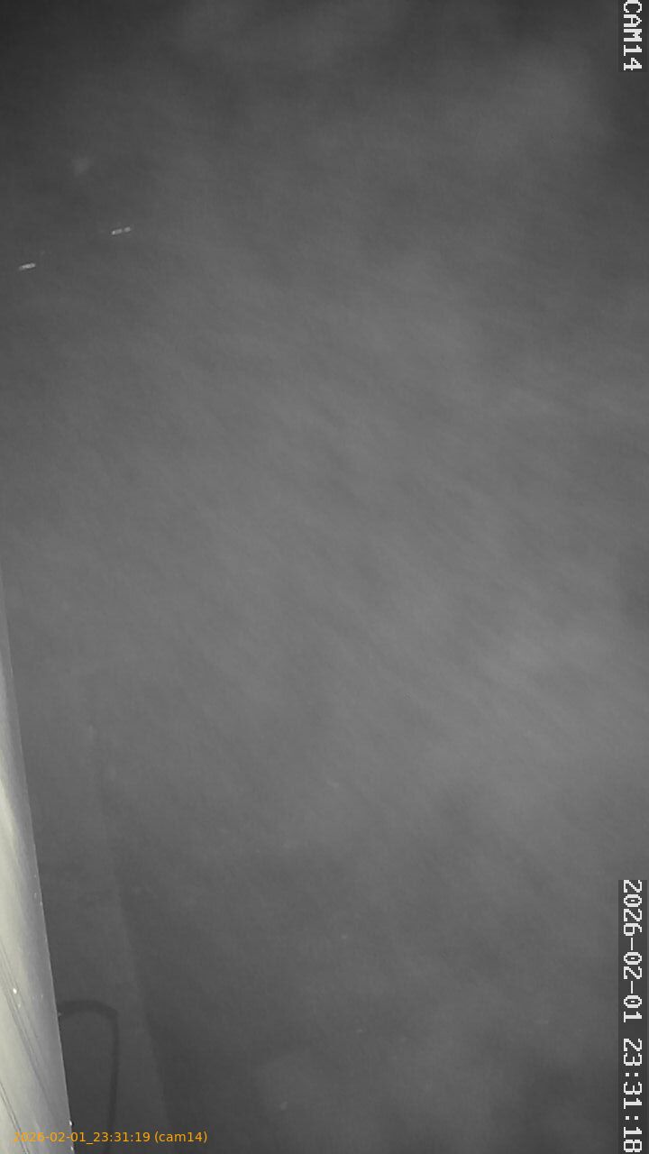 thumbnail_20260201233119