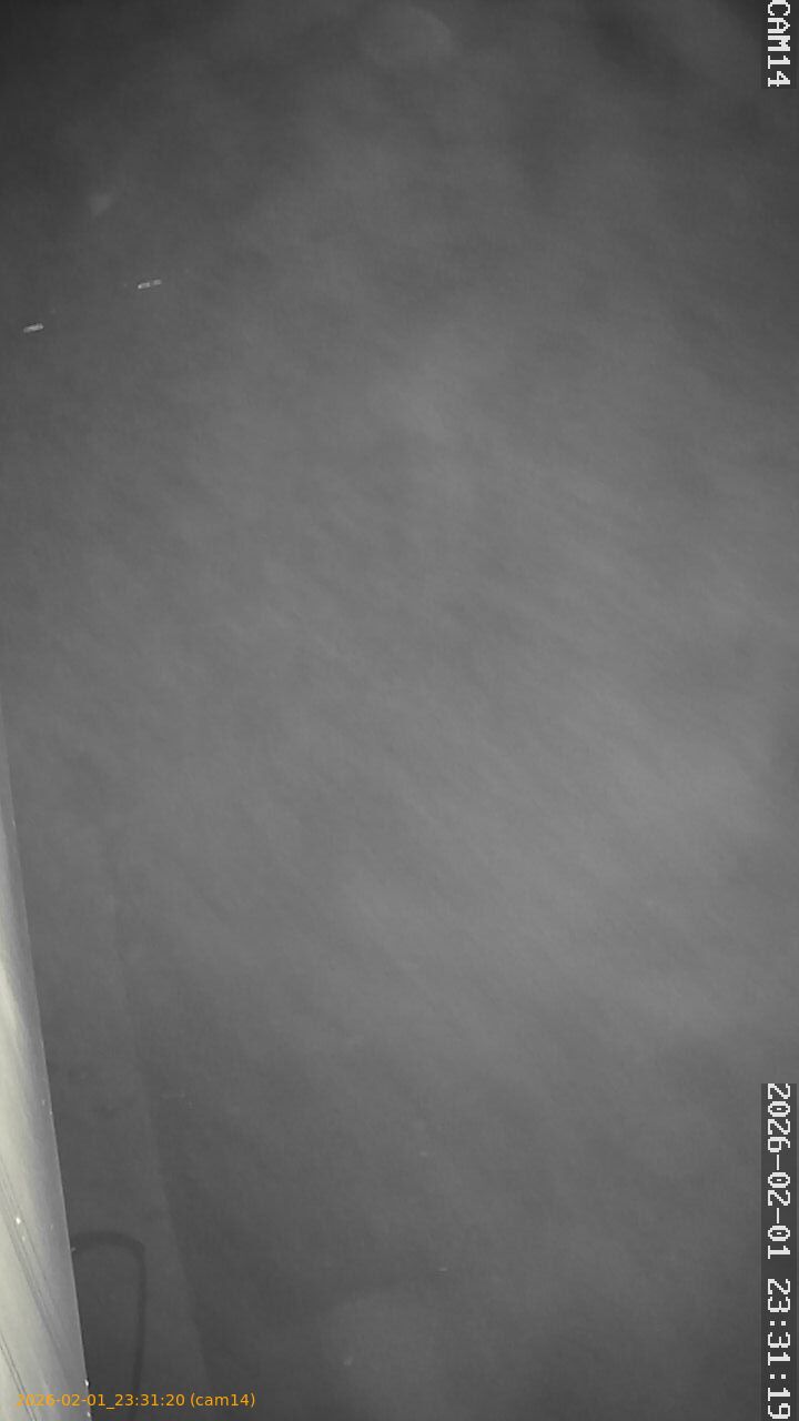 thumbnail_20260201233120