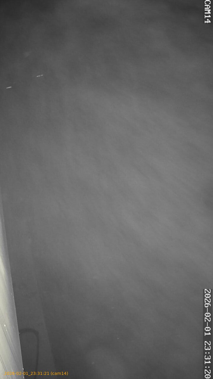 thumbnail_20260201233121