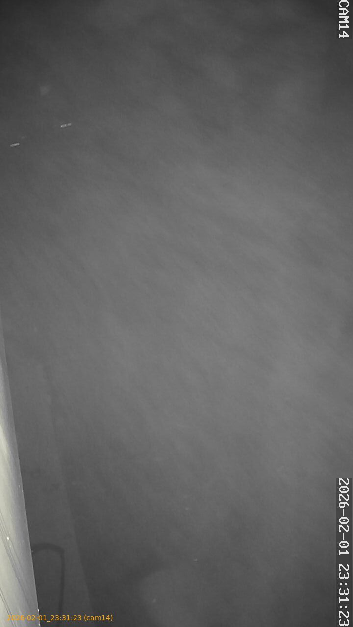 thumbnail_20260201233123