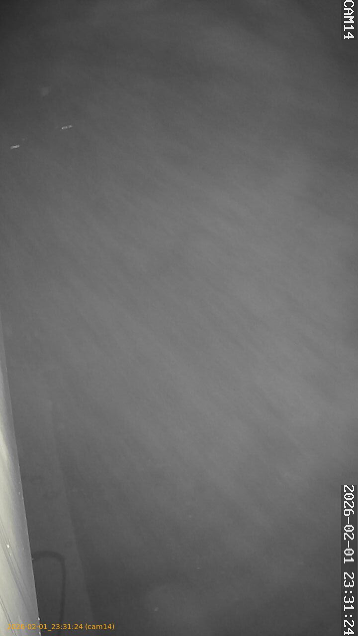 thumbnail_20260201233124