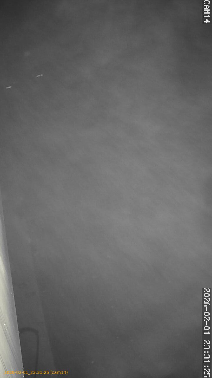 thumbnail_20260201233125