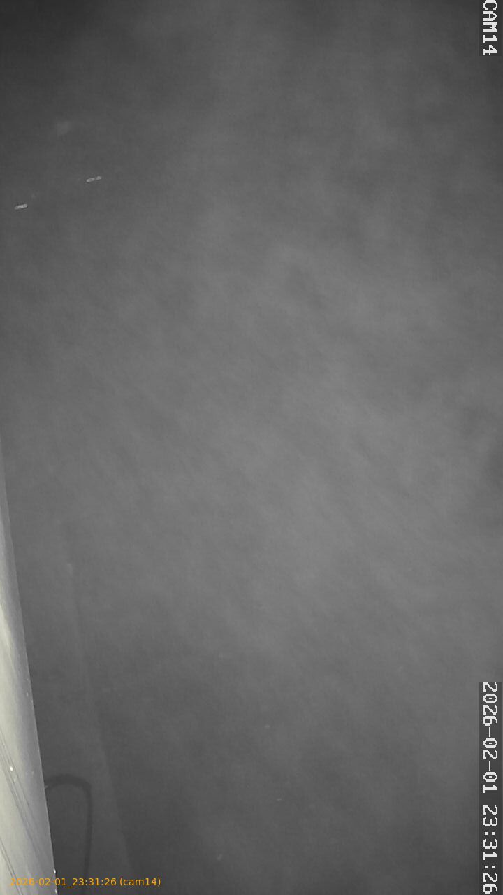 thumbnail_20260201233126