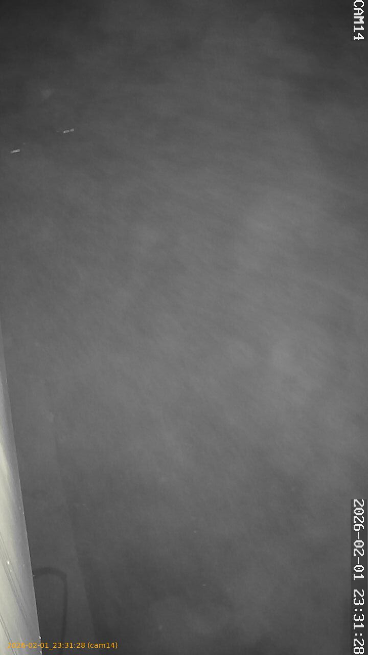 thumbnail_20260201233128