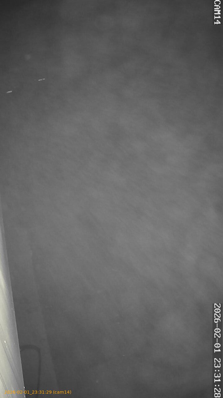 thumbnail_20260201233129