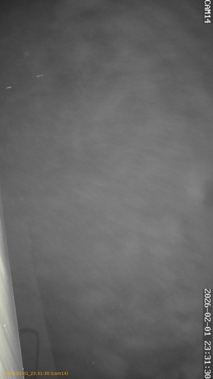 thumbnail_20260201233130