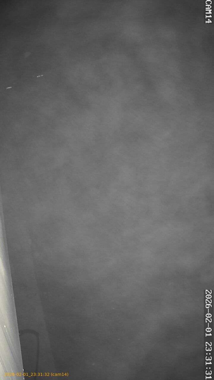 thumbnail_20260201233132