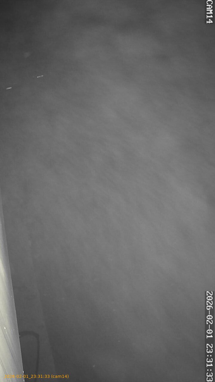 thumbnail_20260201233133