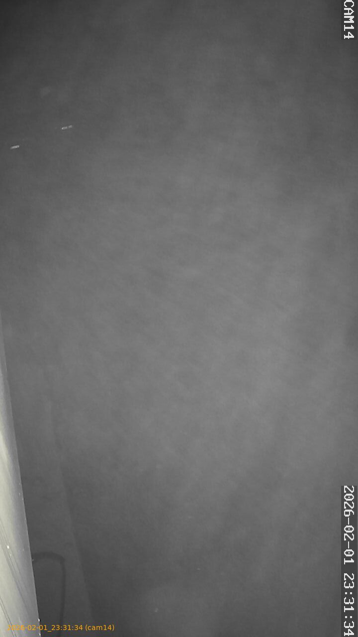 thumbnail_20260201233134