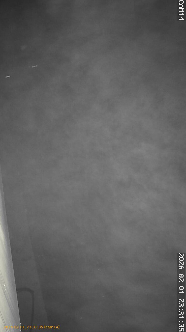 thumbnail_20260201233135