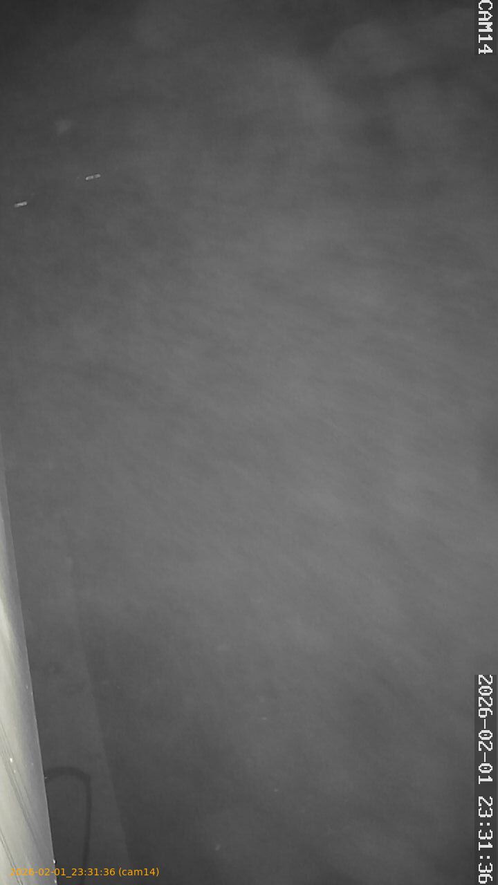 thumbnail_20260201233136