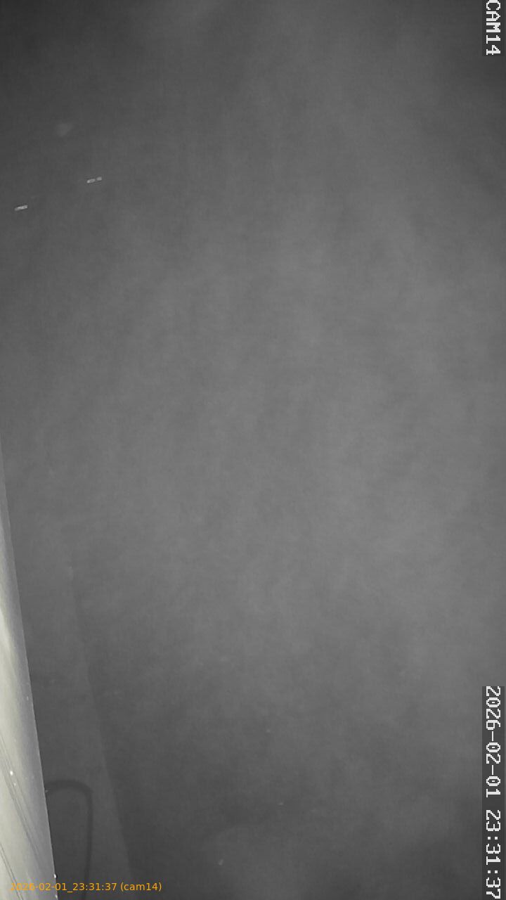 thumbnail_20260201233137