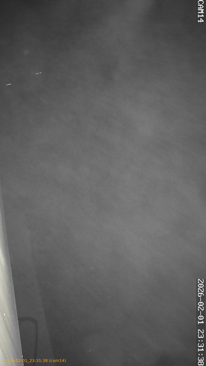 thumbnail_20260201233138