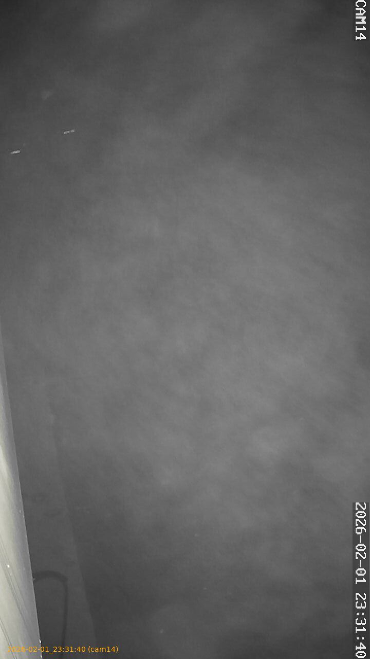 thumbnail_20260201233140