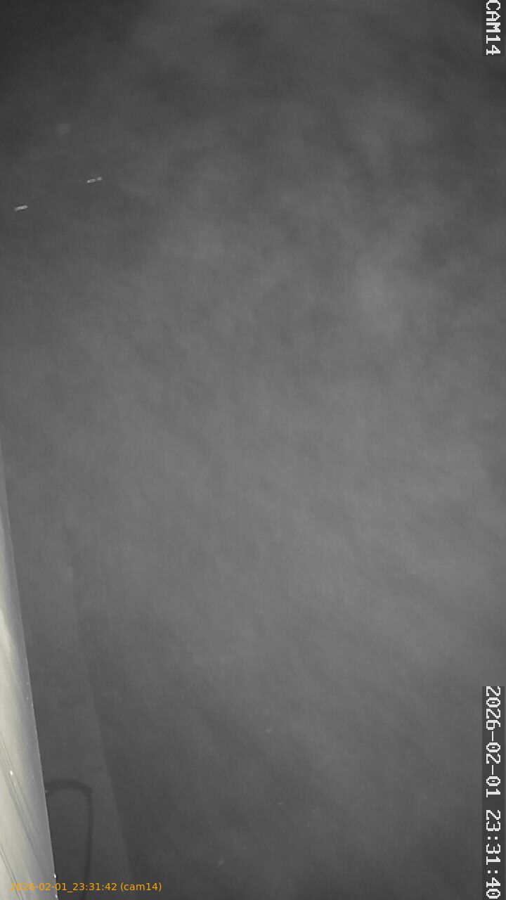 thumbnail_20260201233141