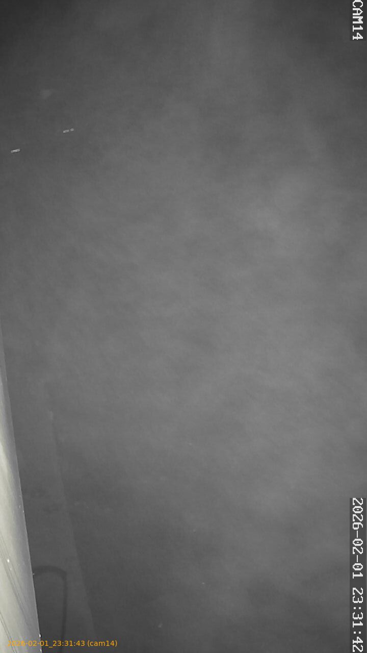 thumbnail_20260201233142