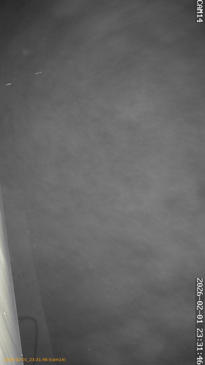 thumbnail_20260201233146