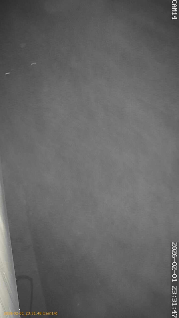 thumbnail_20260201233147