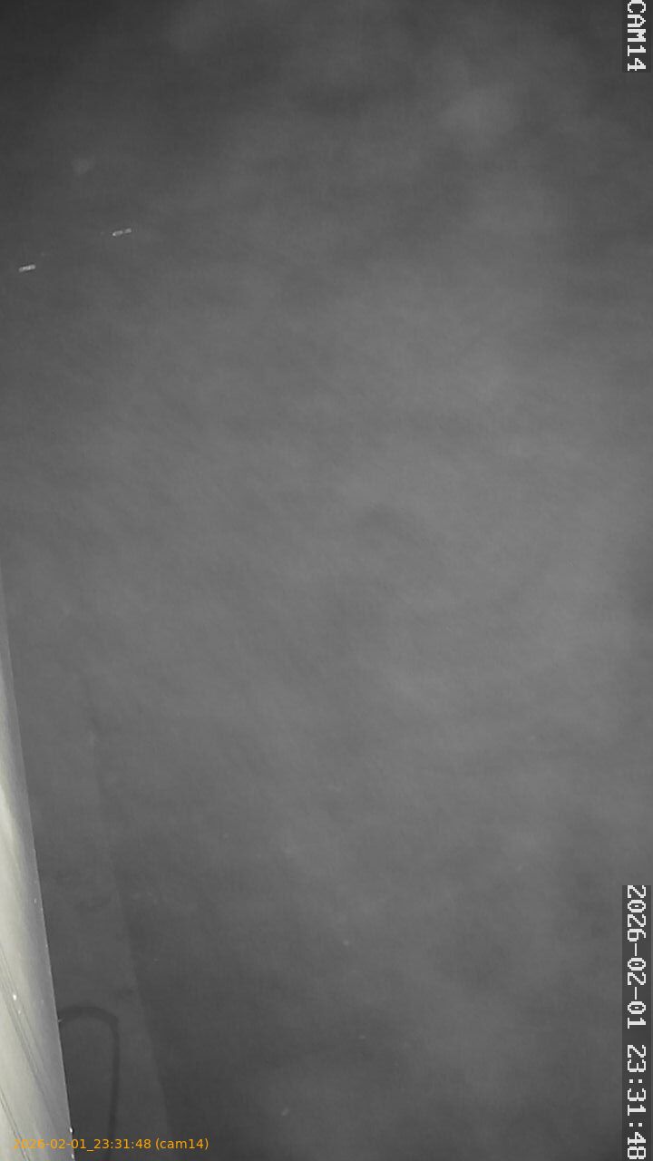 thumbnail_20260201233148