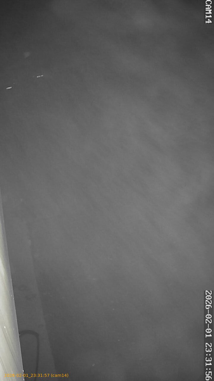 thumbnail_20260201233157