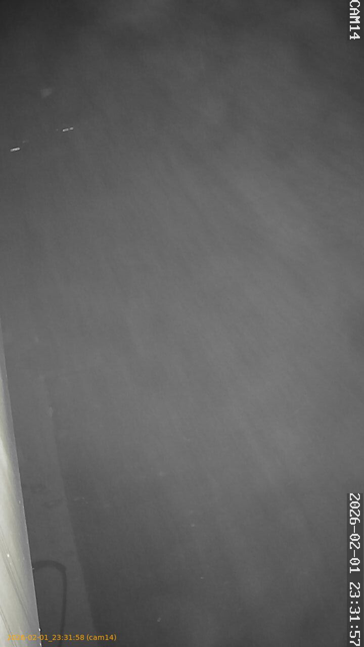 thumbnail_20260201233158