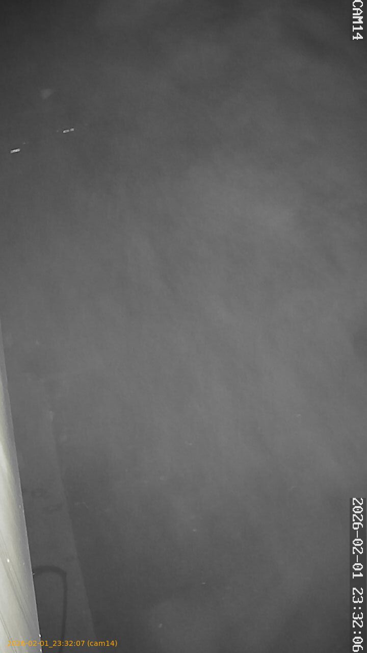 thumbnail_20260201233207