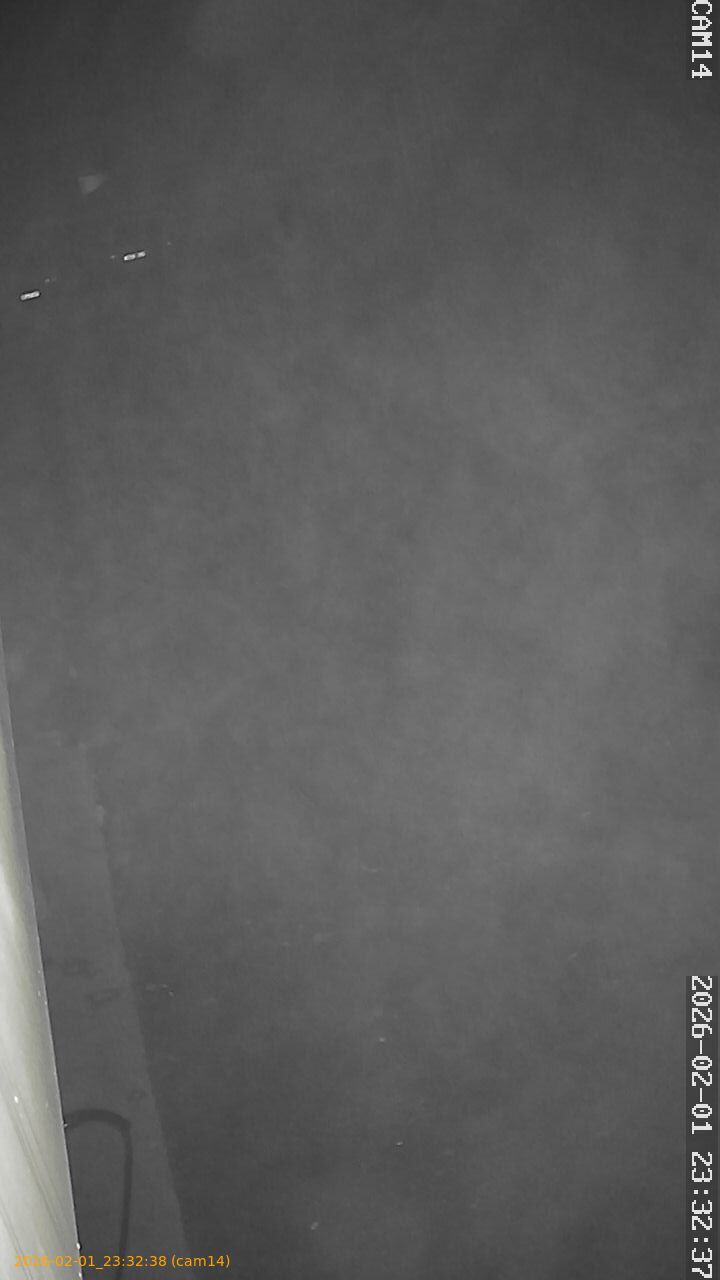 thumbnail_20260201233238