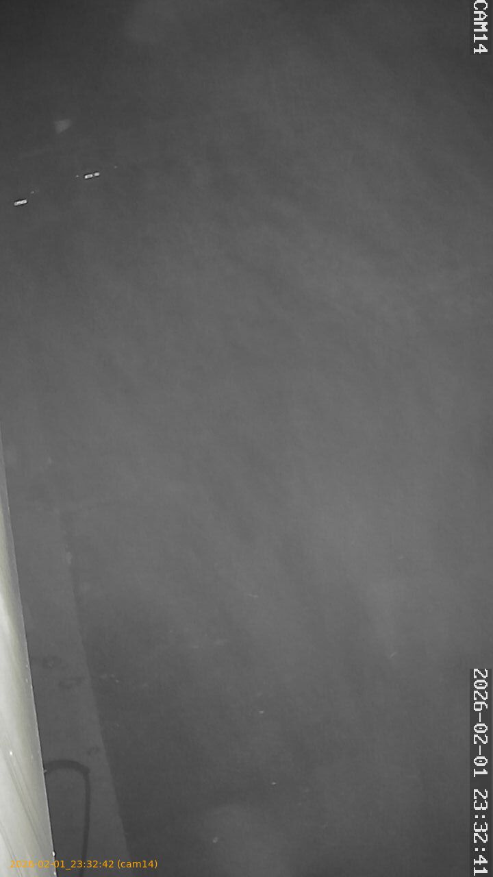 thumbnail_20260201233242