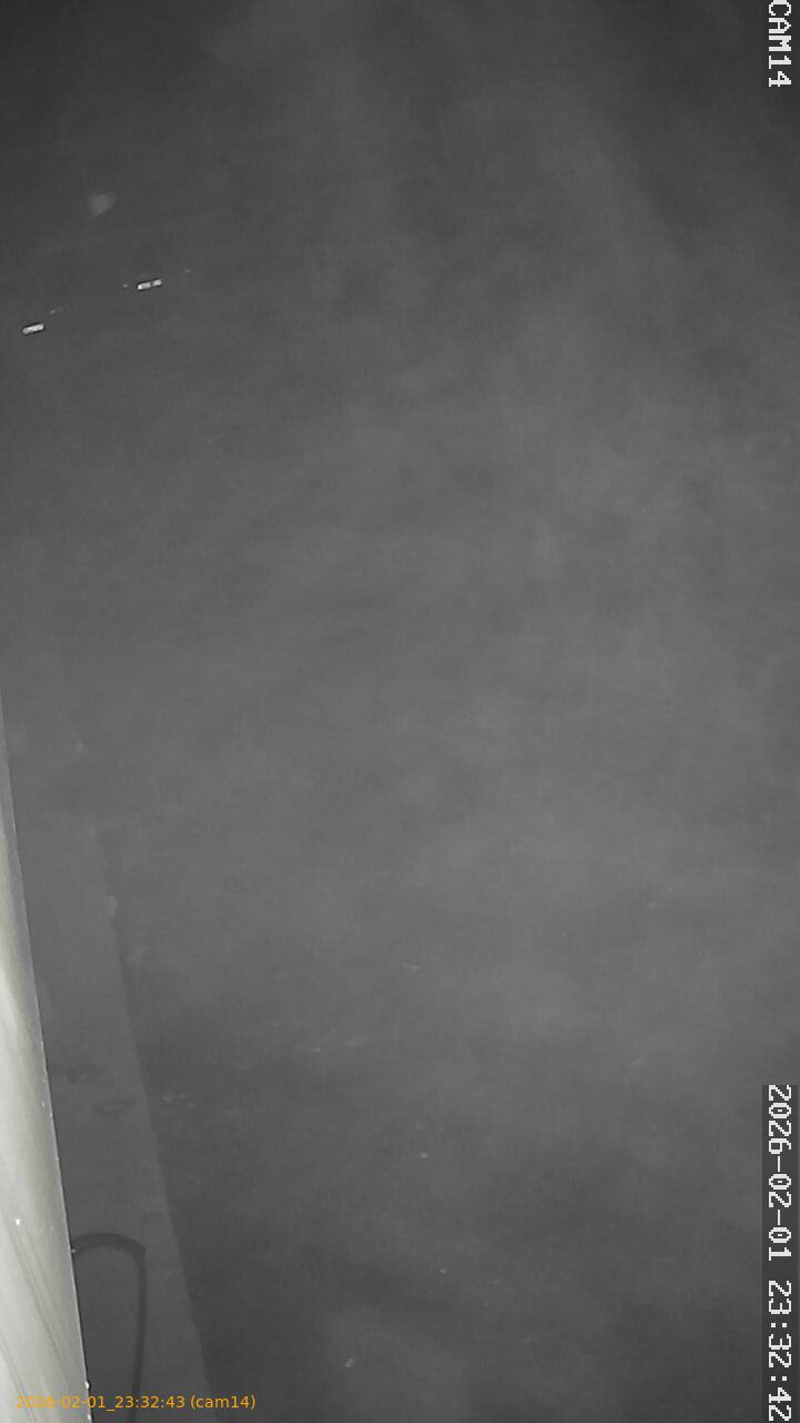 thumbnail_20260201233243