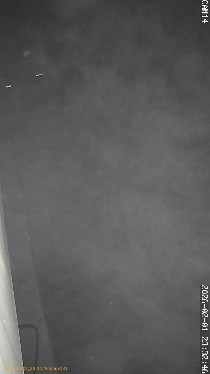 thumbnail_20260201233246