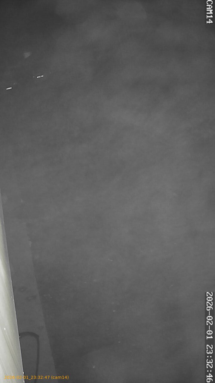 thumbnail_20260201233247