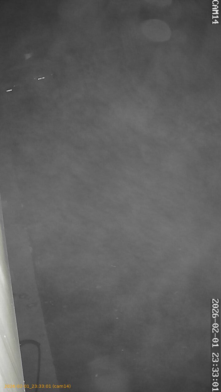 thumbnail_20260201233301