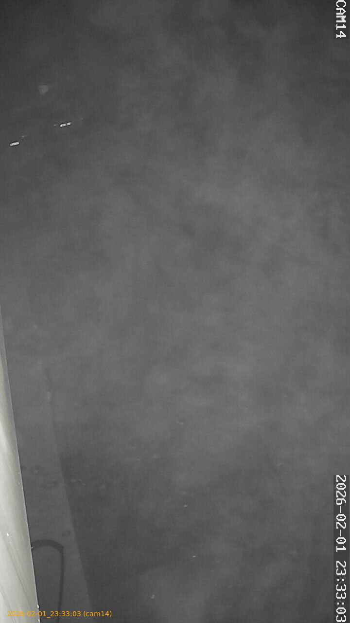 thumbnail_20260201233303