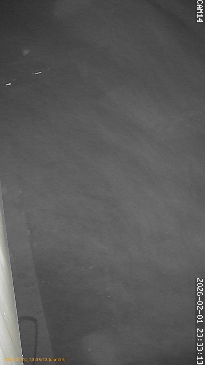 thumbnail_20260201233313